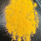 RADIANCE PIGMENT - GOLDEN SUN